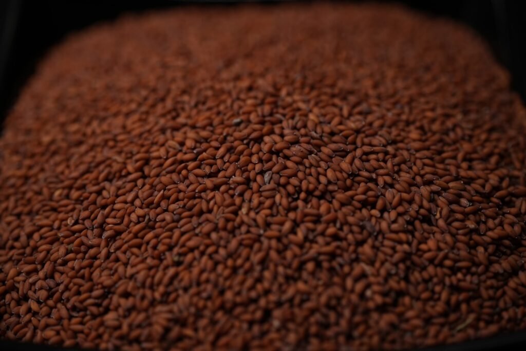 alsiya seeds