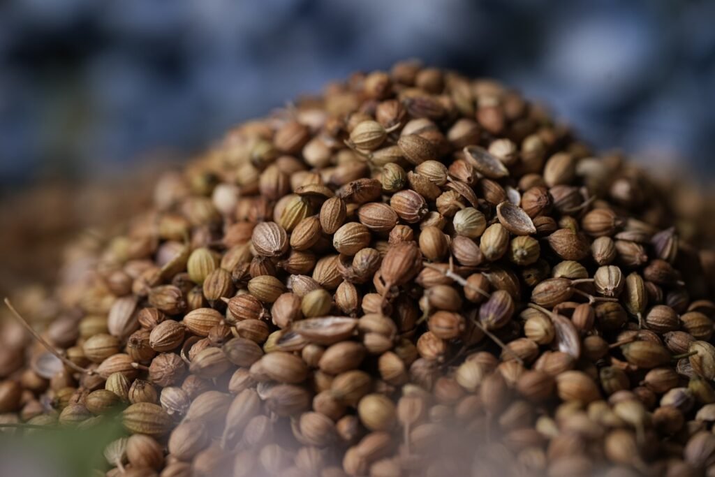 corriendar seeds