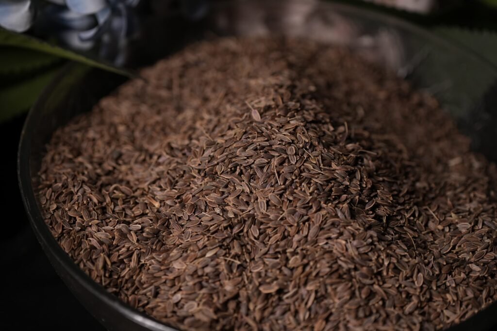 dill seeds dill seeds