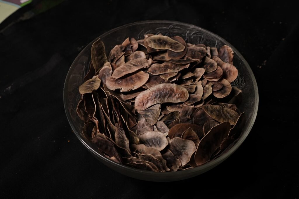 seena pods seeds