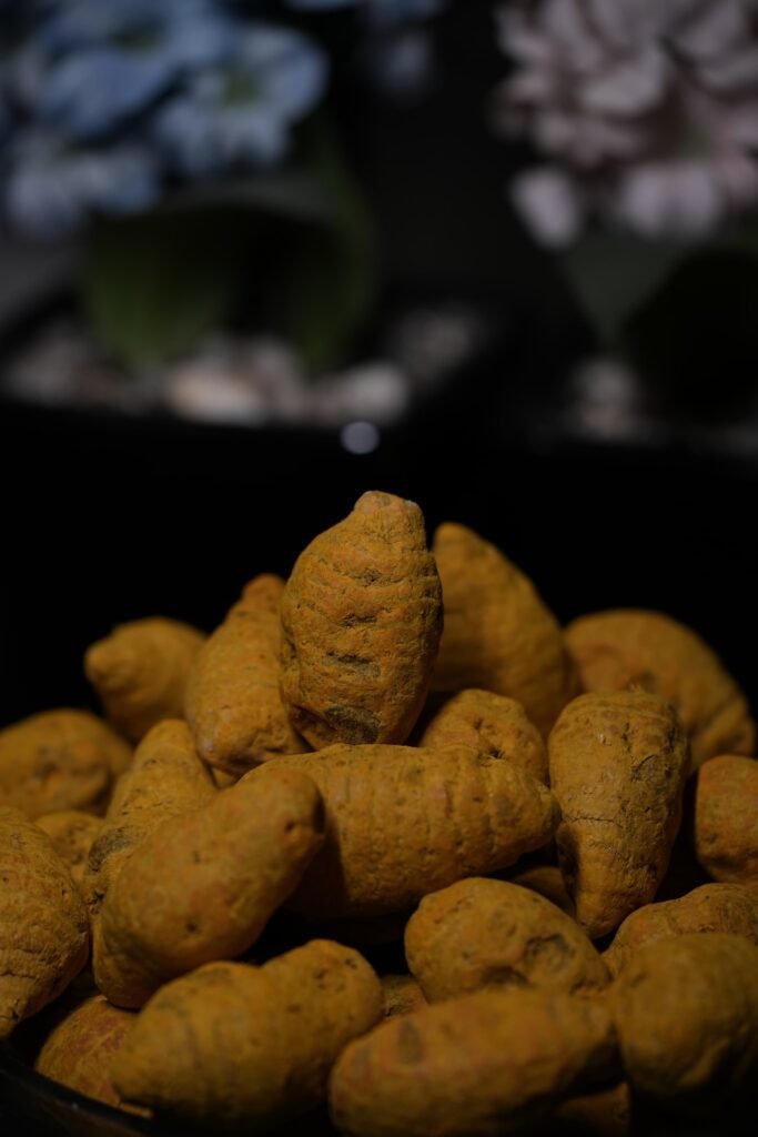 turmeric bulb seeds