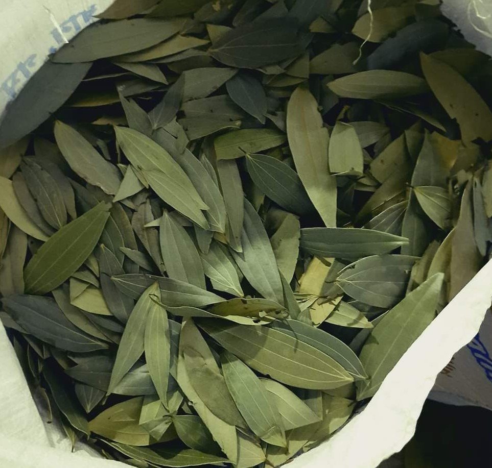 bay leaves