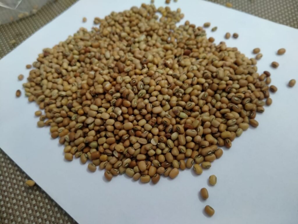 brown lobia (chawli)