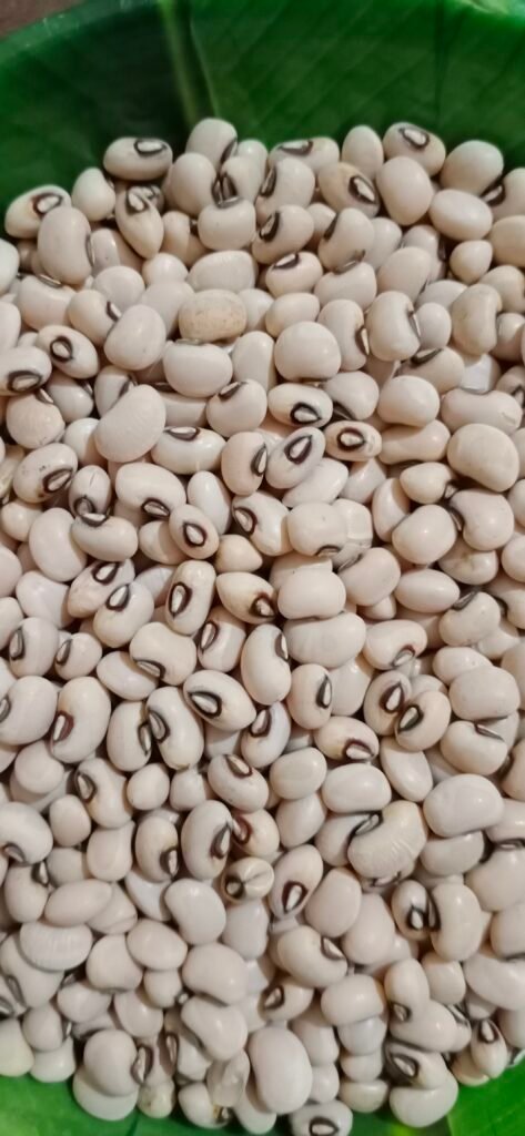 lobia beans (chawli)