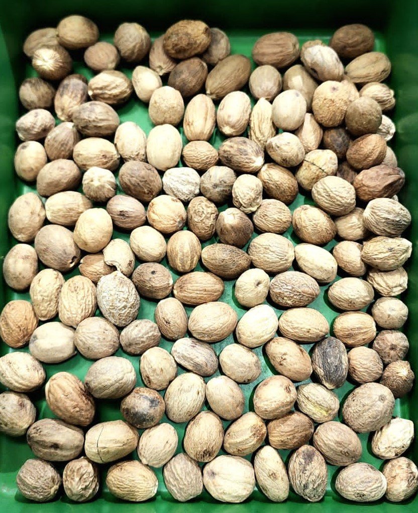 nutmag