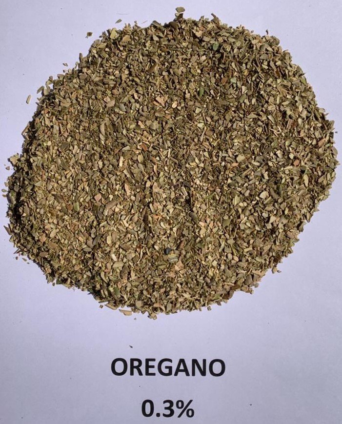 oregano