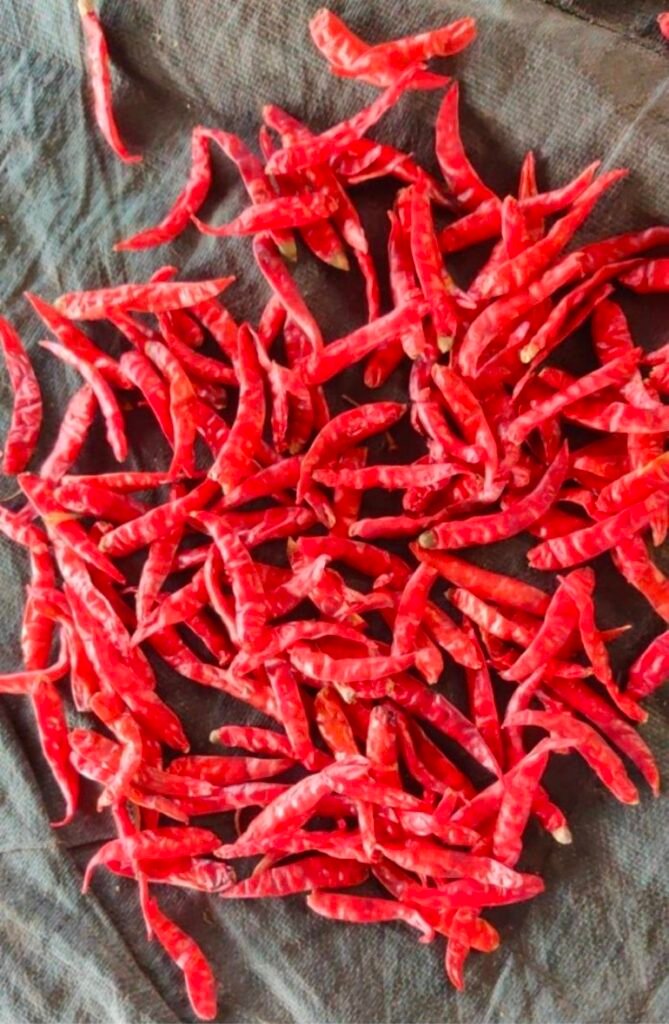 red chilli