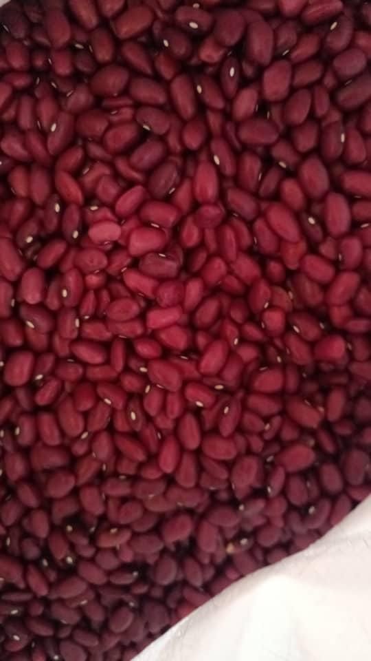 red kidney beans