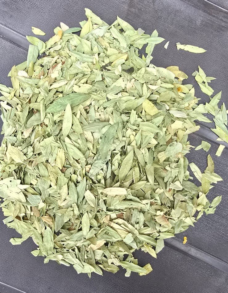 senna leaves