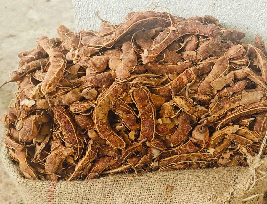 tamarind
