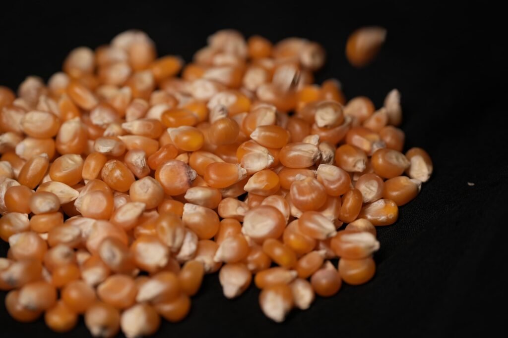 yellow maize (hybrid)