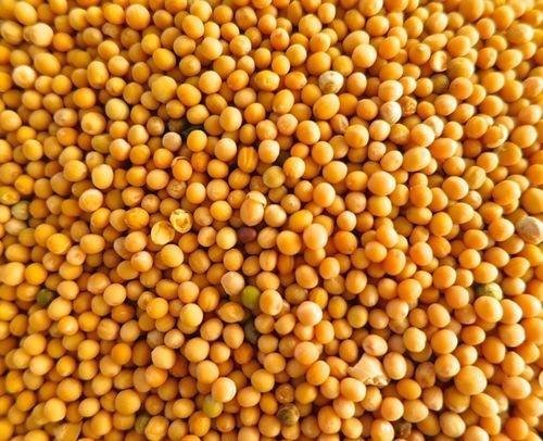 yellow mustard