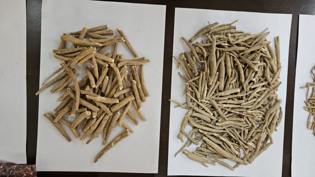 ashwagandha roots ashwagandha roots